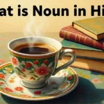 What is Noun in Hindi